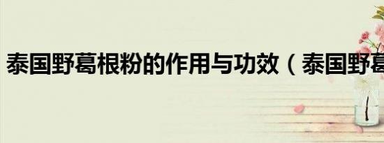 泰国野葛根粉的作用与功效（泰国野葛根片）