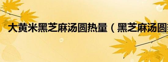 大黄米黑芝麻汤圆热量（黑芝麻汤圆热量）