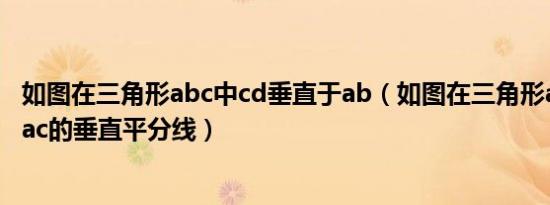 如图在三角形abc中cd垂直于ab（如图在三角形abc中de是ac的垂直平分线）
