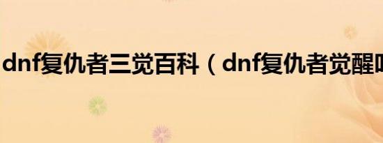 dnf复仇者三觉百科（dnf复仇者觉醒叫什么）