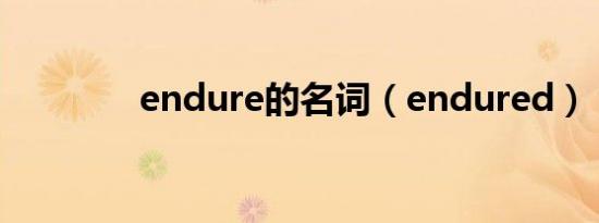 endure的名词（endured）