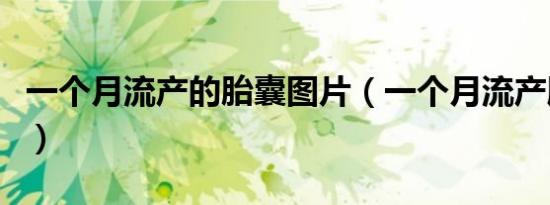 一个月流产的胎囊图片（一个月流产胚胎图片）