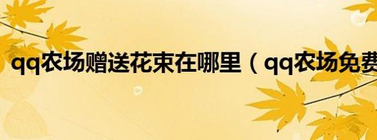 qq农场赠送花束在哪里（qq农场免费送礼）