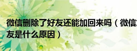 微信删除了好友还能加回来吗（微信加不了好友是什么原因）
