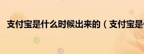 支付宝是什么时候出来的（支付宝是什么）