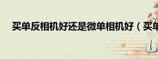买单反相机好还是微单相机好（买单反）