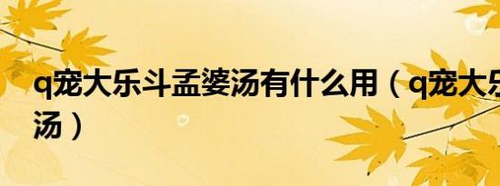 q宠大乐斗孟婆汤有什么用（q宠大乐斗孟婆汤）