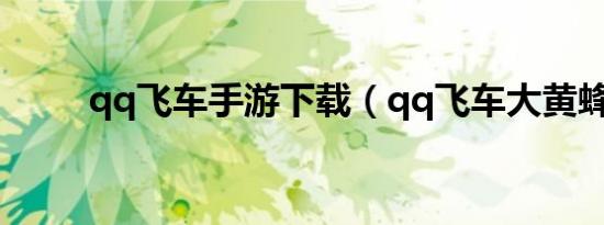 qq飞车手游下载（qq飞车大黄蜂）