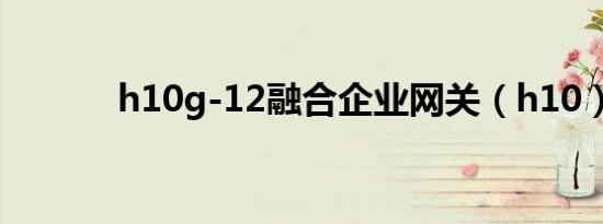 h10g-12融合企业网关（h10）