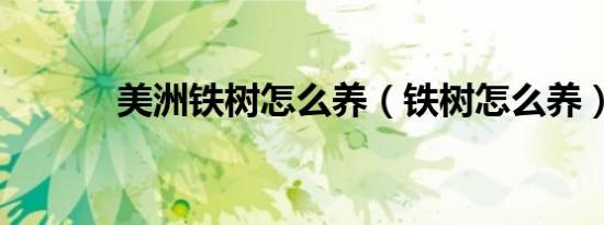 美洲铁树怎么养（铁树怎么养）