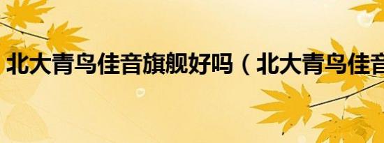 北大青鸟佳音旗舰好吗（北大青鸟佳音旗舰）