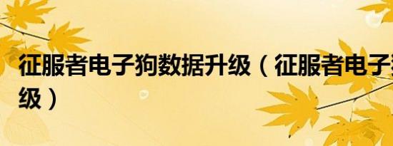 征服者电子狗数据升级（征服者电子狗怎么升级）