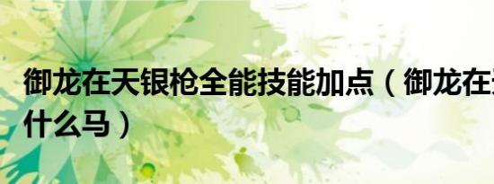 御龙在天银枪全能技能加点（御龙在天银枪骑什么马）