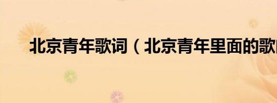 北京青年歌词（北京青年里面的歌曲）