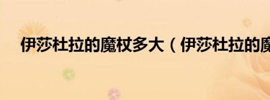 伊莎杜拉的魔杖多大（伊莎杜拉的魔杖）