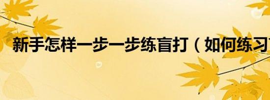 新手怎样一步一步练盲打（如何练习盲打）