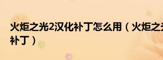 火炬之光2汉化补丁怎么用（火炬之光2 汉化补丁）