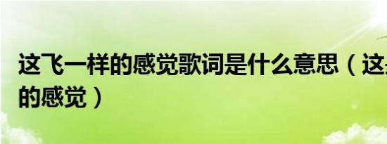 这飞一样的感觉歌词是什么意思（这是飞一样的感觉）