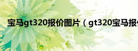 宝马gt320报价图片（gt320宝马报价表）