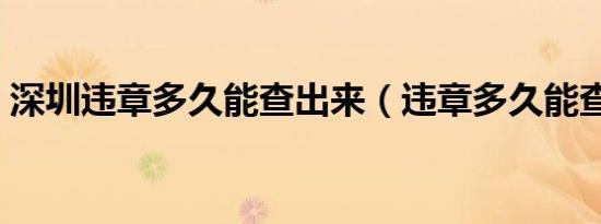深圳违章多久能查出来（违章多久能查出来）