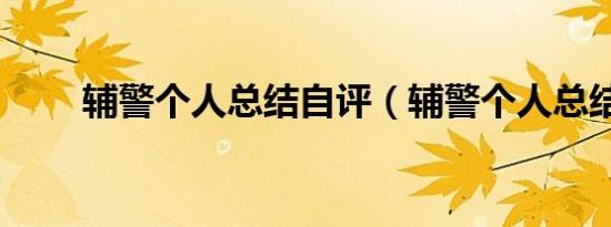 辅警个人总结自评（辅警个人总结）