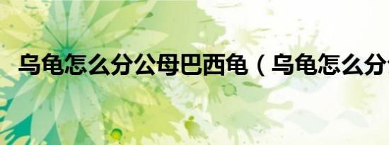 乌龟怎么分公母巴西龟（乌龟怎么分公母）