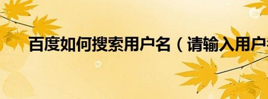 百度如何搜索用户名（请输入用户名）