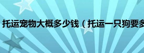 托运宠物大概多少钱（托运一只狗要多少钱）