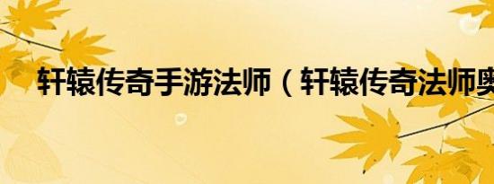 轩辕传奇手游法师（轩辕传奇法师奥义）