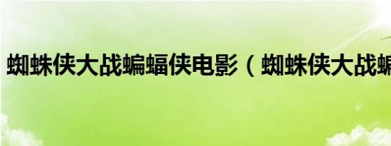 蜘蛛侠大战蝙蝠侠电影（蜘蛛侠大战蝙蝠侠）