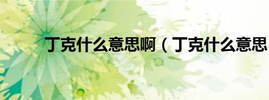 丁克什么意思啊（丁克什么意思）