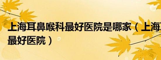 上海耳鼻喉科最好医院是哪家（上海耳鼻喉科最好医院）
