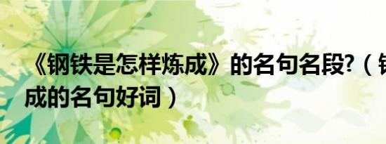 《钢铁是怎样炼成》的名句名段?（钢铁样炼成的名句好词）