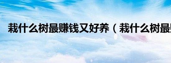 栽什么树最赚钱又好养（栽什么树最赚钱）