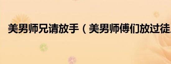 美男师兄请放手（美男师傅们放过徒儿吧）