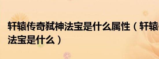 轩辕传奇弑神法宝是什么属性（轩辕传奇弑神法宝是什么）