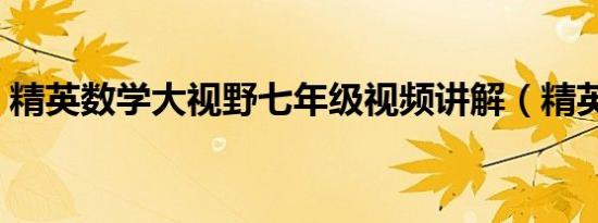 精英数学大视野七年级视频讲解（精英数学）