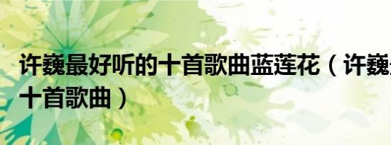 许巍最好听的十首歌曲蓝莲花（许巍最好听的十首歌曲）