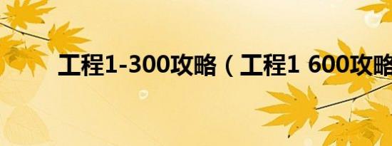 工程1-300攻略（工程1 600攻略）