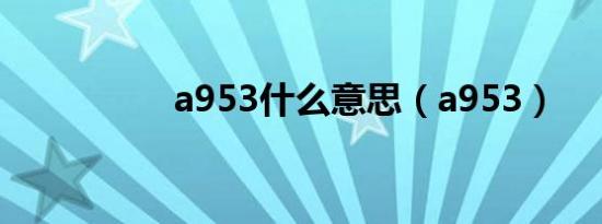 a953什么意思（a953）