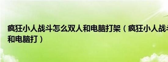 疯狂小人战斗怎么双人和电脑打架（疯狂小人战斗怎么双人和电脑打）