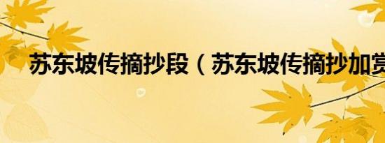 苏东坡传摘抄段（苏东坡传摘抄加赏析）