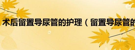 术后留置导尿管的护理（留置导尿管的护理）