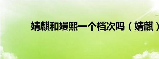 婧麒和嫚熙一个档次吗（婧麒）