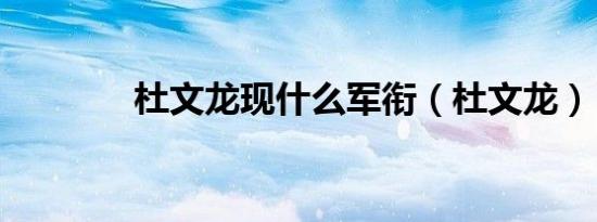 杜文龙现什么军衔（杜文龙）