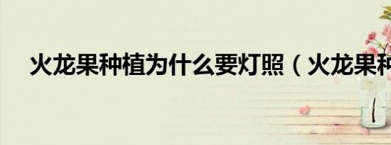 火龙果种植为什么要灯照（火龙果种植）