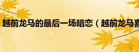 越前龙马的最后一场暗恋（越前龙马喜欢谁）