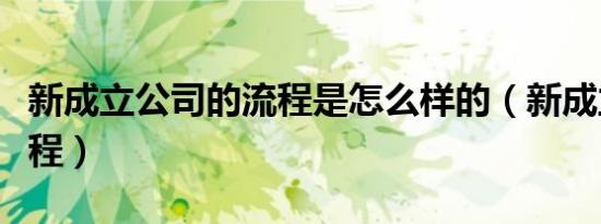 新成立公司的流程是怎么样的（新成立公司流程）