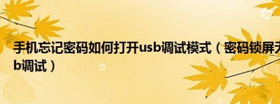 手机忘记密码如何打开usb调试模式（密码锁屏无法打开usb调试）