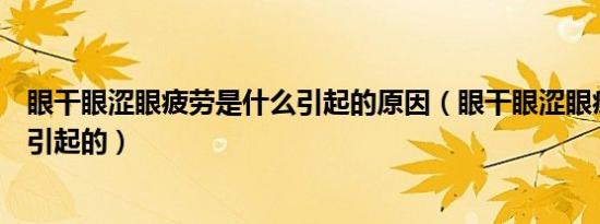 眼干眼涩眼疲劳是什么引起的原因（眼干眼涩眼疲劳是什么引起的）